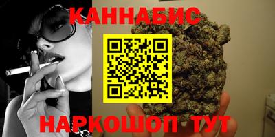 крисы Камышлов