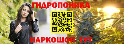 мдпв Ипатово