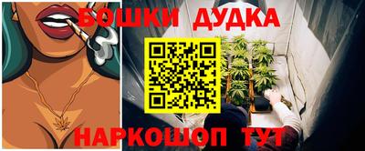 крисы Камышлов