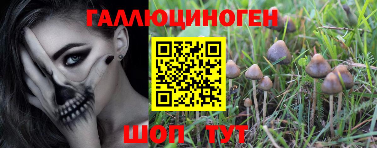 Псилоцибиновые грибы MAGIC MUSHROOMS Кропоткин